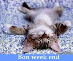 weekend15hc9.jpg