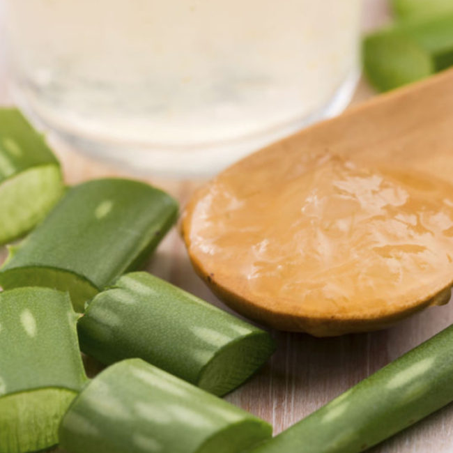 pulpe aloes