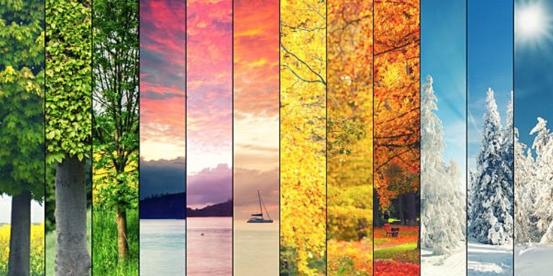 NATURE