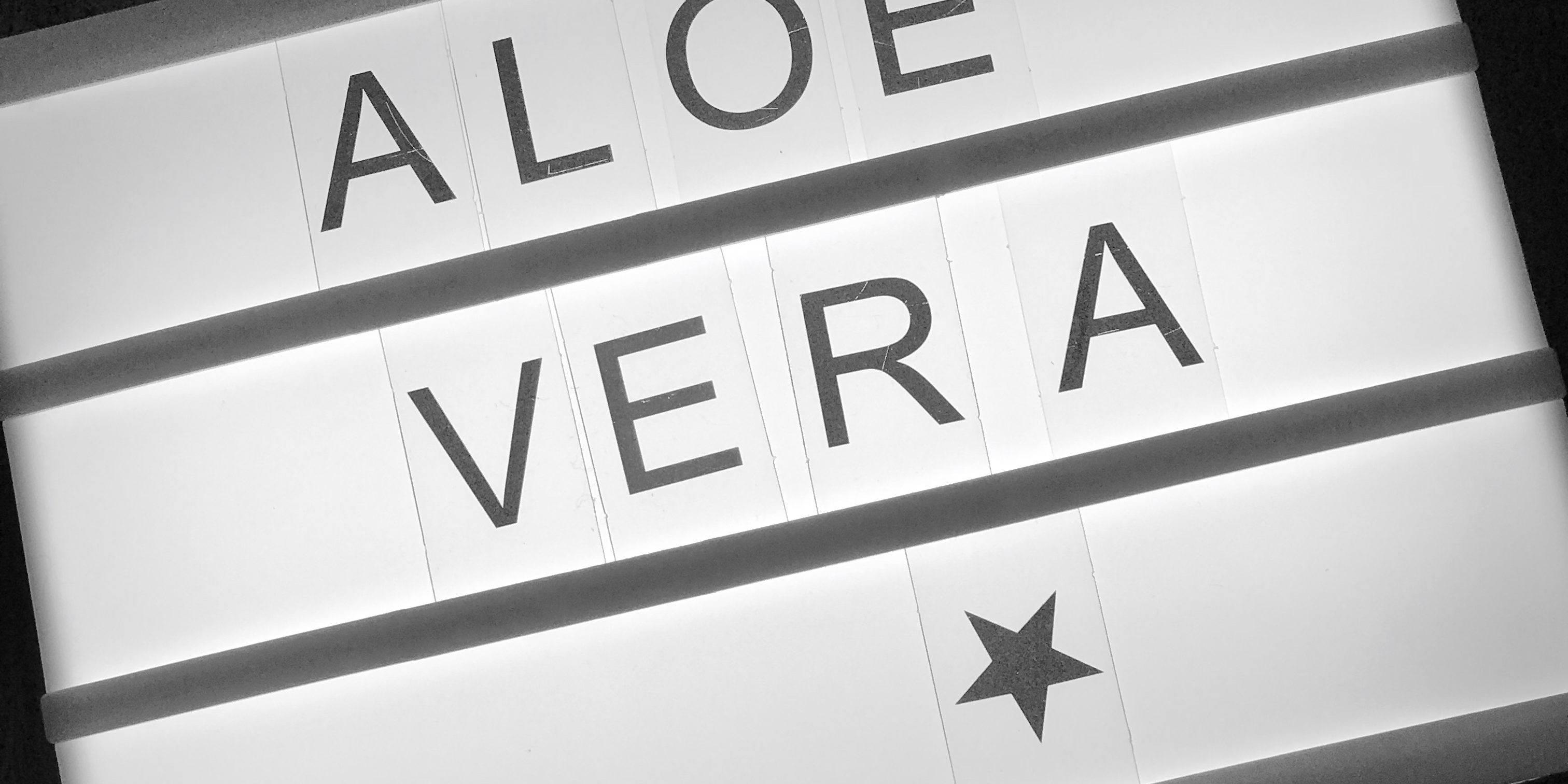 F25490E9-AC14-4C99-AA0E-1C2AAAE2895A