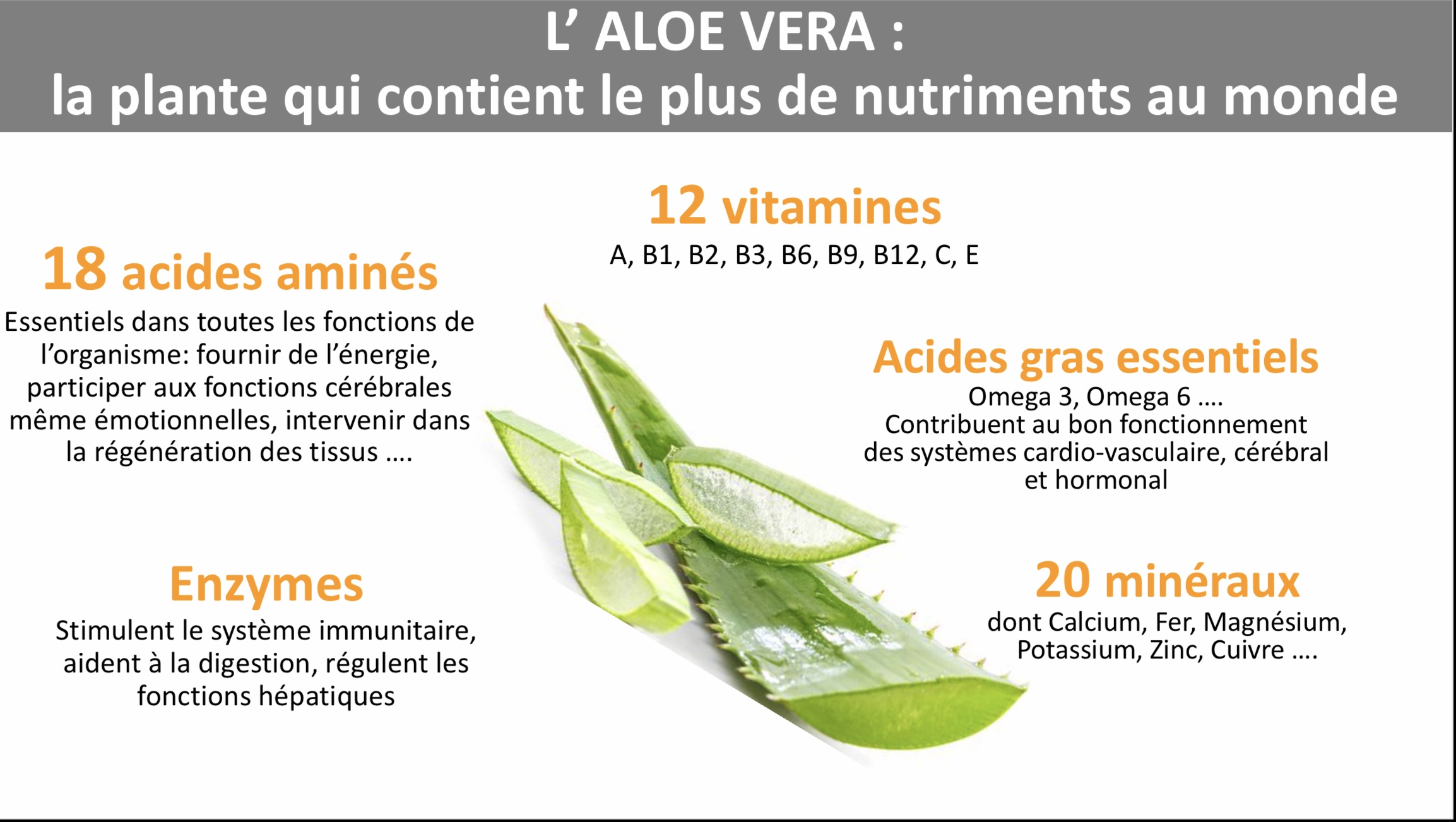 Aloé Véra