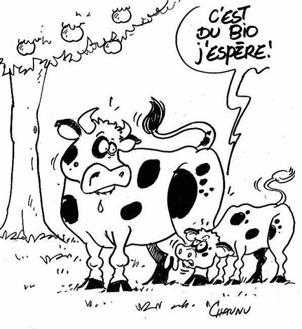 SIGE_DESSIN_apx_470__w_ouestfrance_