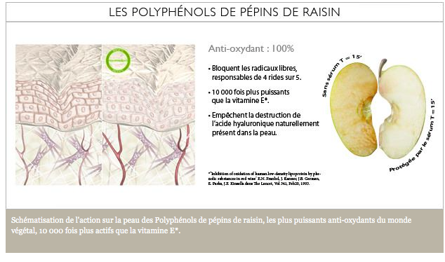 caudalie