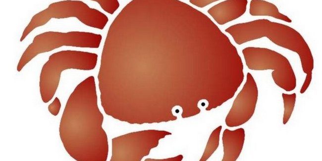 Le Crabe Mais Celui Difficile A Digerer Amelimelo