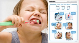 org_laver_dents1